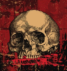 Skull illustration vector image