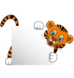 Cute young tiger cartoon with blank sign vector image