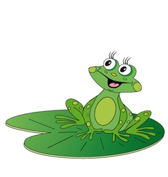 Frog vector image
