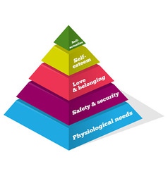 Maslow Psychology Chart vector image