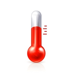 Thermometer vector image