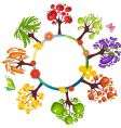 Vegetable set vector image