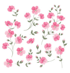 Set of linen flowers elements vector image