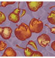 Retro apples vector image