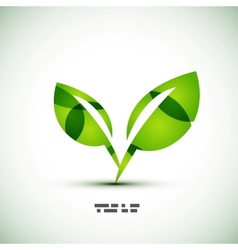 Eco green leaves vector image