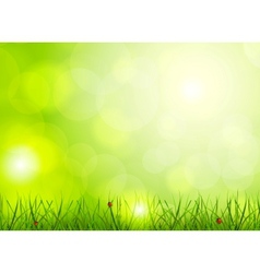 Bright green background Bright green background vector image