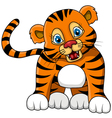 Cute young tiger cartoon expression vector image