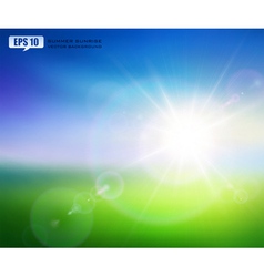 Summer sunrise vector image