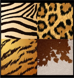 Wild animals skin textures vector image