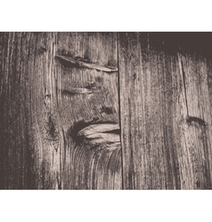 Wood texture vector image