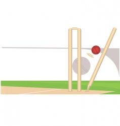 Cricket vector image