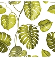 Topical palm leaves vector image