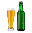 Beer in glass and bottle vector image