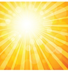 Sunburst vector image