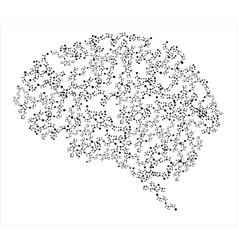 Human brains vector image