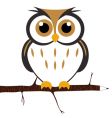 Cartoon owl vector image