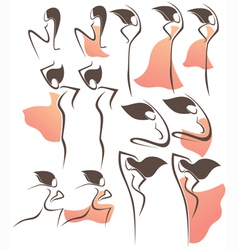 Flamenco style vector image