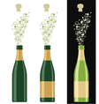 Champagne vector image
