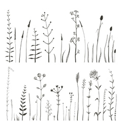 Sketchy Wild Field Flowers and Grass on White Sketchy Wild Field Flowers and Grass on White vector image
