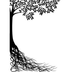 Tree silhouette vector image