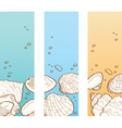 Seashell banner set vector image