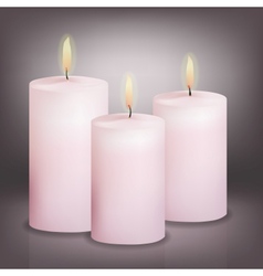 Three pink candles vector image