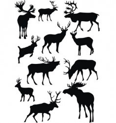 Deer vector image