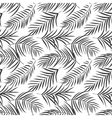Tropical palm leaves isolated on white Seamless vector image