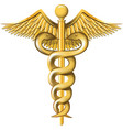 Caduceus on the white background vector image