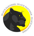 Panther vector image