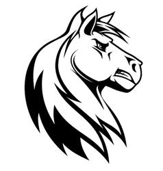Silhouette of white horse vector image