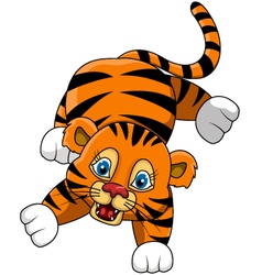 Cute young tiger cartoon expression vector image