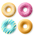 Colorful donuts vector image