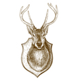 Engraving stuffed deer head vector image