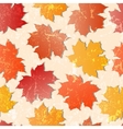 Maple leaves seamless wallpaper vector image