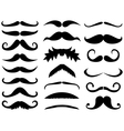 Mustache vector image