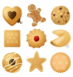 Cookies vector image