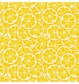 Cute seamless pattern with yellow lemon slices vector image
