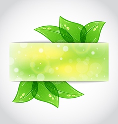 Green leaves banner vector image