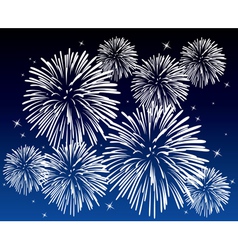 Fireworks vector image