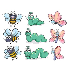 A caterpillar a butterfly and a bee vector image