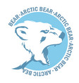 White bear vector image