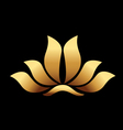 Yoga gold lotus flower vector image