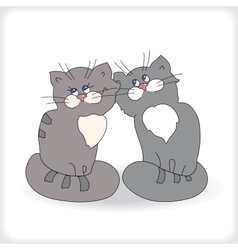 Romantic couple of cats vector image