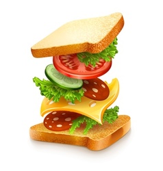 Exploded view of sandwich vector image