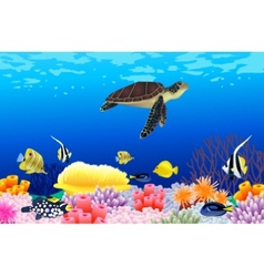 Sea life vector image