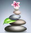 Colored pebbles in a pile vector image