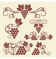 Grape vine elements vector image