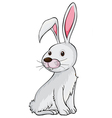 A smiling rabbit vector image