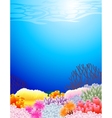 Sea life vector image